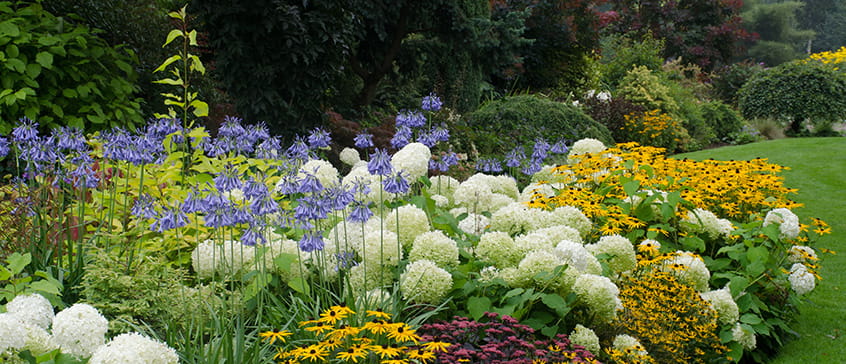 Large English perennial border