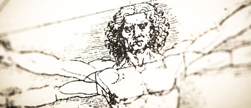 Leonardo's sketch of the Vitruvian Man from the torso up.