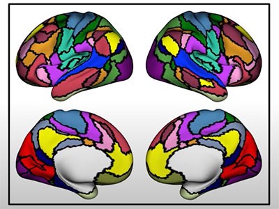 Mapping brain connectivity