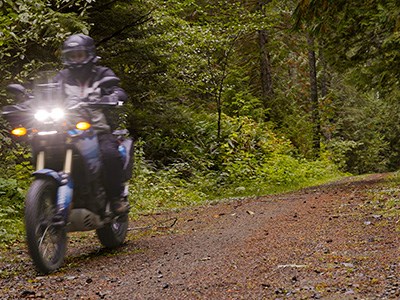 Suzanne riding on a logging road in remote BC