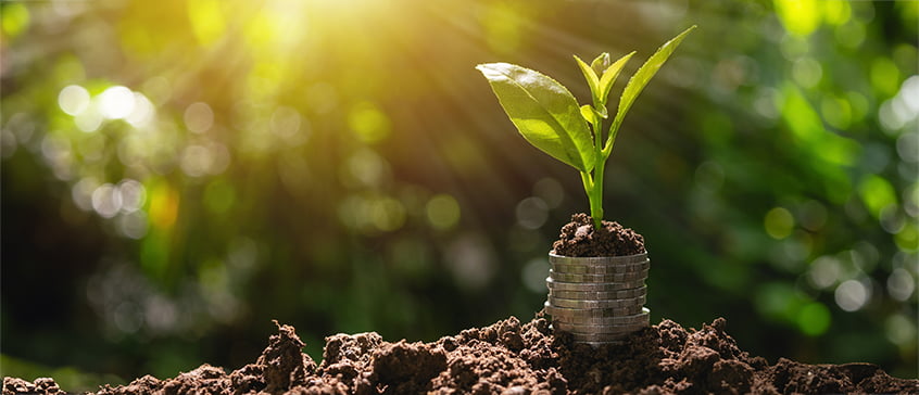 A newly sprouted plant grows out of a stack of coins embedded in rich, dark soil. Sunlight streams from the upper left, casting a warm glow on the scene and highlighting the vibrant green leaves of the young plant. The background is softly blurred, suggesting a natural outdoor environment.