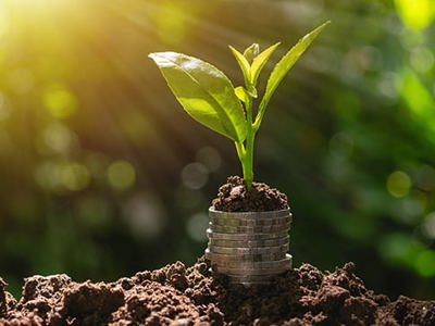 A newly sprouted plant grows out of a stack of coins embedded in rich, dark soil. Sunlight streams from the upper left, casting a warm glow on the scene and highlighting the vibrant green leaves of the young plant. The background is softly blurred, suggesting a natural outdoor environment.