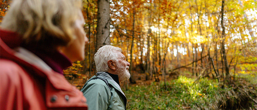 Seniors going for a walk in the forest. 