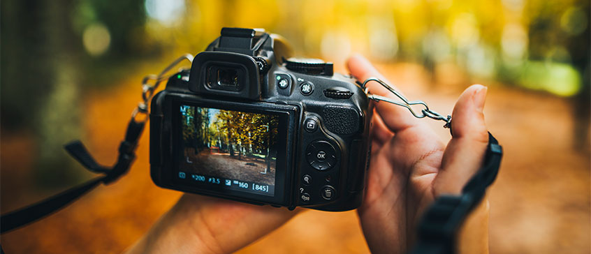 Introduction to Digital Photography | Continuing Studies at UVic
