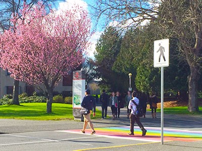 A photograph of the UVic campus in spring with a cherry blossom tree