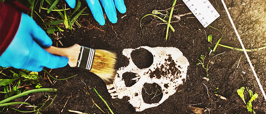 Forensic Anthropology of the Human Skeleton | Continuing Studies at UVic