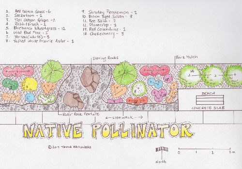 native pollinator garden design
