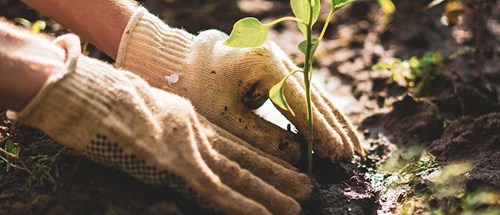 Gardening Classes Vancouver Island